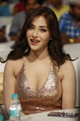 Rogue Movie Audio Launch